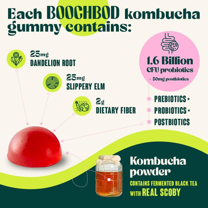 Probiotic Kombucha Gummy - Gut Health Support with Pre, Pro & Postbiotics